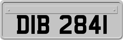 DIB2841