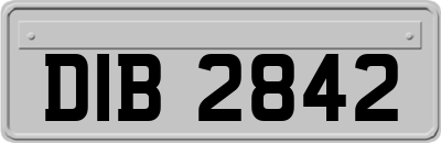 DIB2842