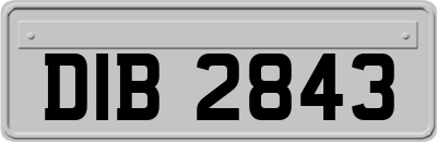 DIB2843