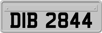 DIB2844