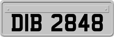 DIB2848