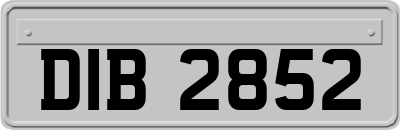 DIB2852
