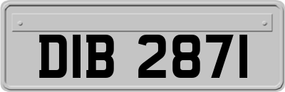 DIB2871