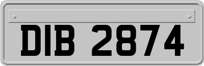DIB2874