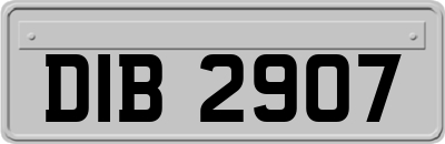 DIB2907
