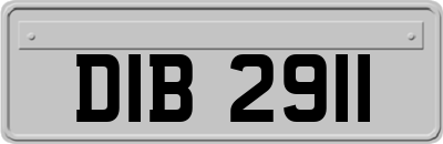 DIB2911