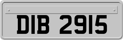 DIB2915