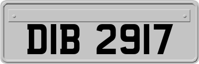 DIB2917