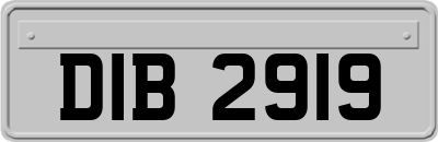 DIB2919