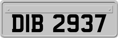 DIB2937