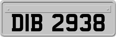 DIB2938
