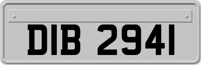 DIB2941