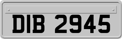 DIB2945