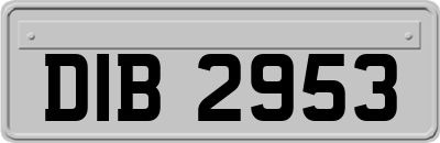DIB2953