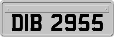 DIB2955
