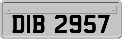 DIB2957