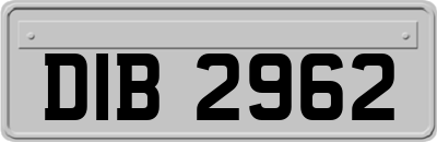 DIB2962