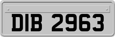 DIB2963
