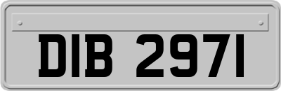 DIB2971