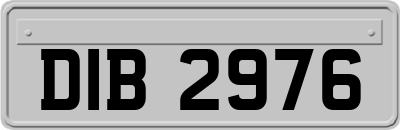 DIB2976