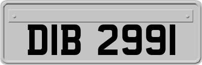 DIB2991