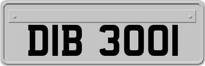 DIB3001