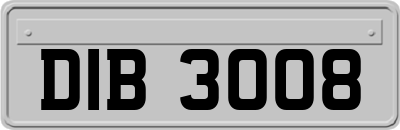 DIB3008