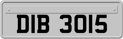 DIB3015