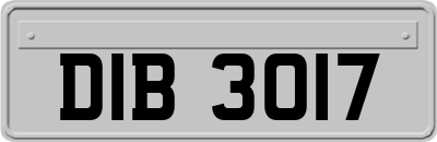 DIB3017