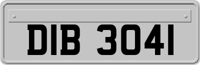 DIB3041