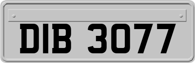 DIB3077
