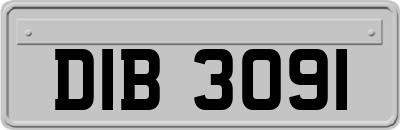 DIB3091