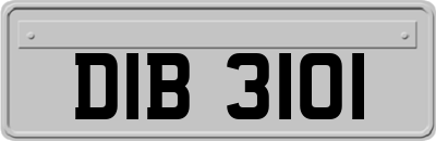 DIB3101