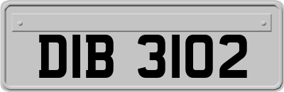DIB3102