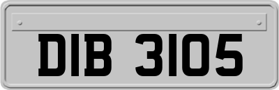 DIB3105