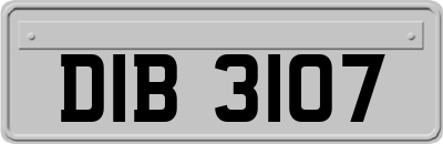 DIB3107
