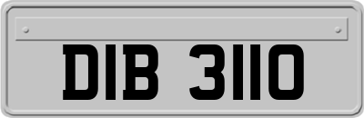 DIB3110