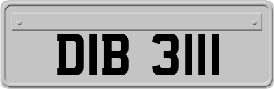 DIB3111