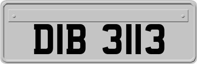 DIB3113
