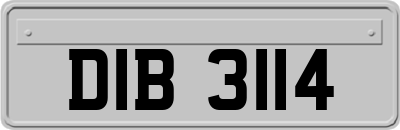 DIB3114