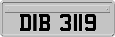 DIB3119
