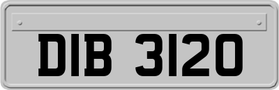 DIB3120