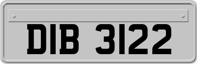 DIB3122