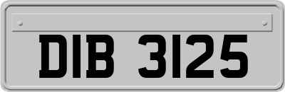DIB3125