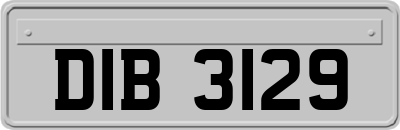 DIB3129