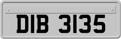 DIB3135