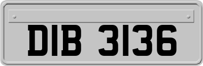 DIB3136