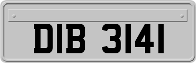 DIB3141