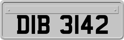 DIB3142