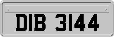 DIB3144